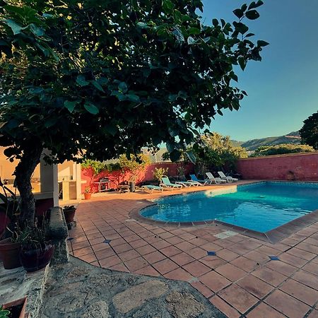 Residence Antonia Appartements Avec Piscine Commune - Centre Ville Calvi Calvi  Exteriér fotografie