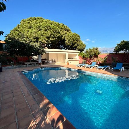 Residence Antonia Appartements Avec Piscine Commune - Centre Ville Calvi Calvi  Exteriér fotografie