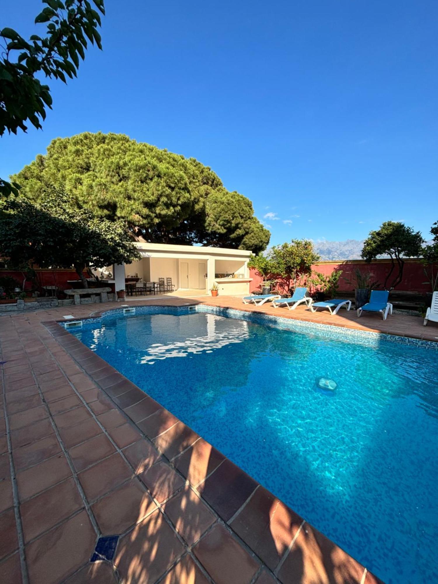 Residence Antonia Appartements Avec Piscine Commune - Centre Ville Calvi Calvi  Exteriér fotografie