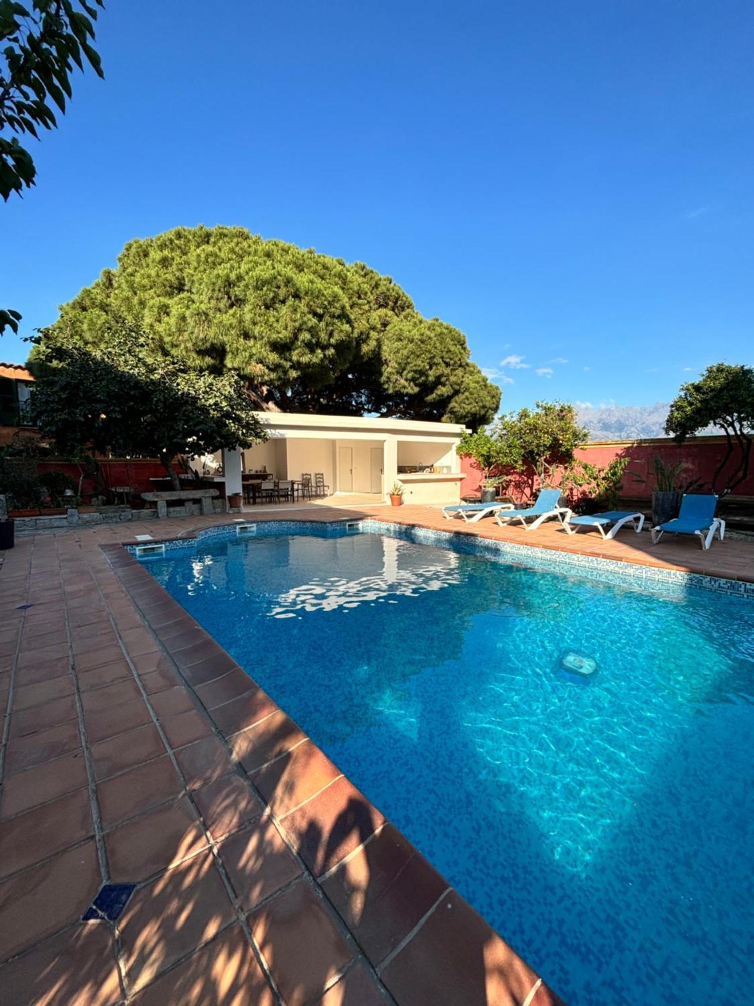 Residence Antonia Appartements Avec Piscine Commune - Centre Ville Calvi Calvi  Exteriér fotografie
